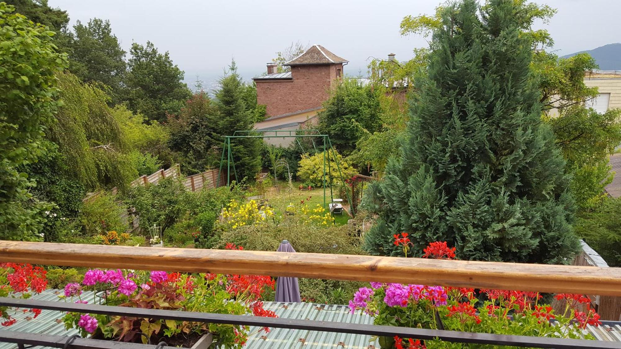 Les Iris Chambres D'Hote Niedermorschwihr 객실 사진