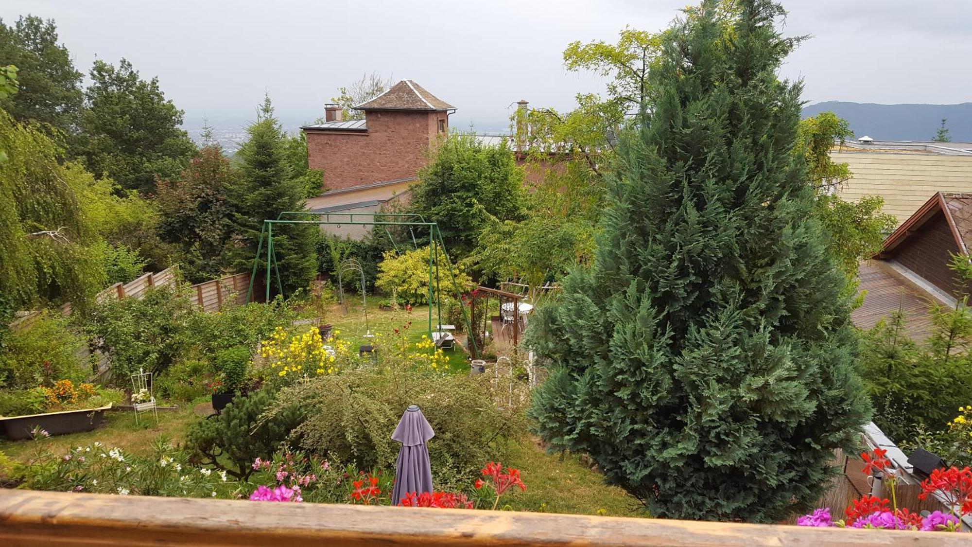 Les Iris Chambres D'Hote Niedermorschwihr 객실 사진